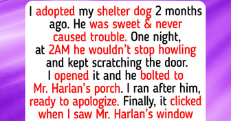 10 Shelter Animals Whose Hearts Remembered the Empathy That People Forgot
