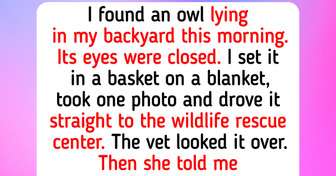 9 Backyard Animal Rescues: an Owl Found Lying in the Yard and a Pool Ramp for 7 Ducklings
