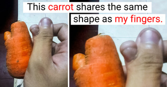 18 People Who Witnessed Coincidences and Were Lucky Enough to Capture Them