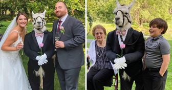 A Llama Attends a Wedding as a Groomsman, and the Photos Are Incredible