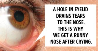 15 Facts About the Human Body That Will Stick With You Forever