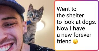 18 People Who Came, Saw, and Took an Animal Home From a Shelter