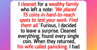 10 Crazy Stories That Prove Cleaners Deal With More Than Just Dust and Dirt