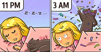 20 Illustrations That Perfectly Sum Up What Happens When You Live With a Cat