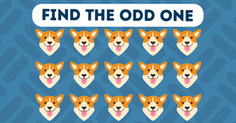 Find the Odd One Out in 20 Seconds — a Speed-Thinking Test