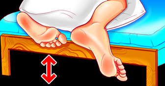 Why Beds Are Raised Off the Ground + 14 Other Cool Facts