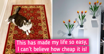 10 Amazing Things for Your Home That Are Extremely Cheap Right Now