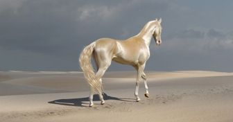 15 Breathtakingly Beautiful Horses