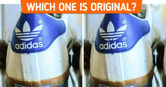 Test: Can You Distinguish a Branded Item From a Fake?