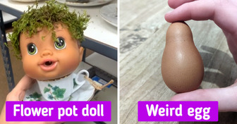 20 Things That Seem to Have Come From a Different Reality