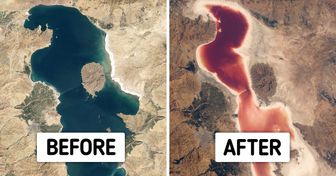 30+ Photos That Are Clear Proof Climate Change Is Real