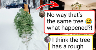 Woman Shares How She Found the ‘Perfect’ Christmas Tree—Only to Discover It Wasn’t