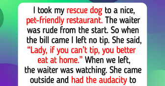 13 Cute Rescue Dog and Cat Stories From Animal Shelters That Still Remind Us Kindness and Happiness Always Find Their Way Home