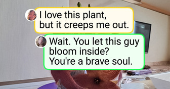 20+ People Who Turned Ordinary Rooms Into a Green Paradise