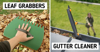 8 Unique Devices That Every Homeowner Needs in Autumn