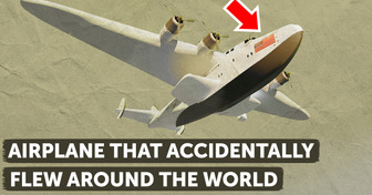 Plane Flew Around the World Trying to Get Home