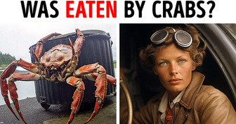Giant Crabs: The Key to Amelia Earhart’s Disappearance?