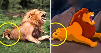 These 14 Animals Are Exact Copies of Our Favorite Animated Movie Characters