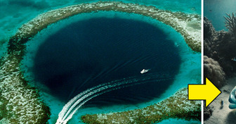 Explorers Dive to the Bottom of the Great Blue Hole and Reveal a Shocking Secret