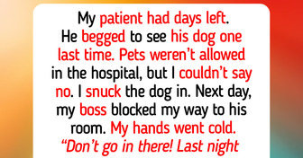 10 Moments of Compassion That Remind Us Pets Keep Bringing Out the Best in Humanity
