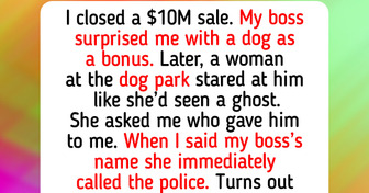 12 Animal Shelter Moments That Prove the Smallest Acts of Kindness Can Create the Biggest Bonds