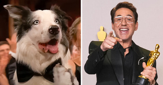 Messi, the Dog From ‘Anatomy of a Fall’, Goes Viral With Reaction to Robert Downey Jr. Win