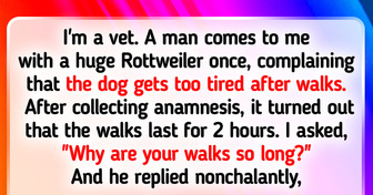 20+ Stories That Prove Walking Your Pet Can Be an Exciting Adventure