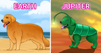 What Your Pet Might Look Like on 8 Different Planets