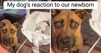 15 Smiley Pics That Will Make You Want to Hug Your Whole Family