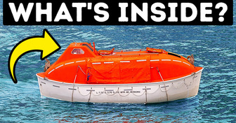 What Is Inside a Ship’s Lifeboat