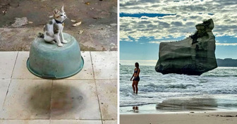 17 Incredible Coincidences That Seem Too Perfect to Be Real