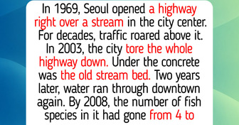 12 Rivers That Came Back to Life, Like the Seine, Where Swimming Was Banned for 100 Years
