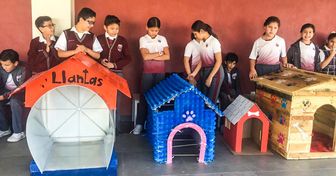 Mexican Children Built Houses for Street Dogs Using Recycled Materials and We’re in Awe of Them