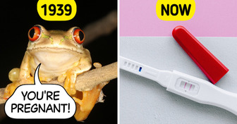 5 Fascinating Ways Pregnancy Was Tested Before Modern Kits