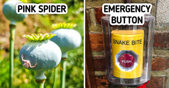 18 Times People Saw the Magic Hidden in Everyday Life