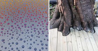 20 Pics That Can Make Your Inner Perfectionist Rejoice