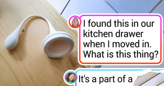 17 Things People Found That Sparked Viral Curiosity