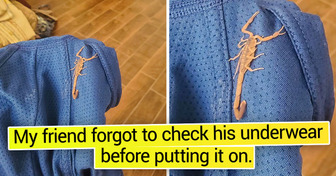 18 People Who Received a Funny Prank From the Universe