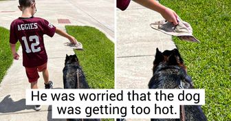 19 Pics That Prove the Bond Between Humans and Animals Is Stronger Than Super Glue