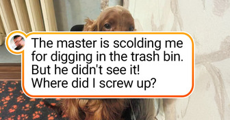 20+ Photos That Prove Every Day With a Dog Is an Adventure