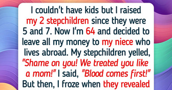 I’m Childfree, I Left My Inheritance to My Niece, My Stepchildren Are Furious