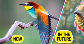 How Evolution Could Change 7 Animals—And Create Strange Creatures