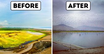 A Man From Peru Has Found an Ingenious Way to Clean Lakes, and It’s a Breakthrough the Earth Was Crying For