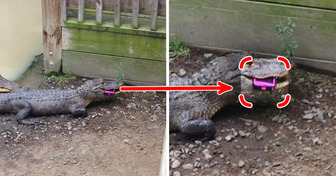 13 Moments People Knew They’d Seriously Messed Up