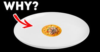 7 Reasons Why Fancy Restaurants Serve Such Tiny Portions