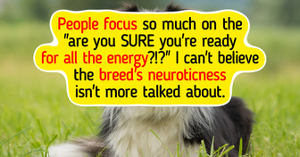 10 Dog Breeds That Are Not Recommended for First-Time Owners