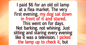 17 Heartwarming Vintage Finds That Proved Old Junk Hides Family Treasures