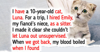 My Cat’s Sitter Was Irresponsible, So I Refused to Pay—My Family Disagrees