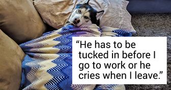 People Are Sharing Hysterical Quirks of Their Cats and Dogs. Are Your Pets That Wacky Too?