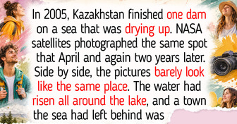 In 2005, One Dam Brought Back a Dying Sea: 10 Places That Turned Green Again